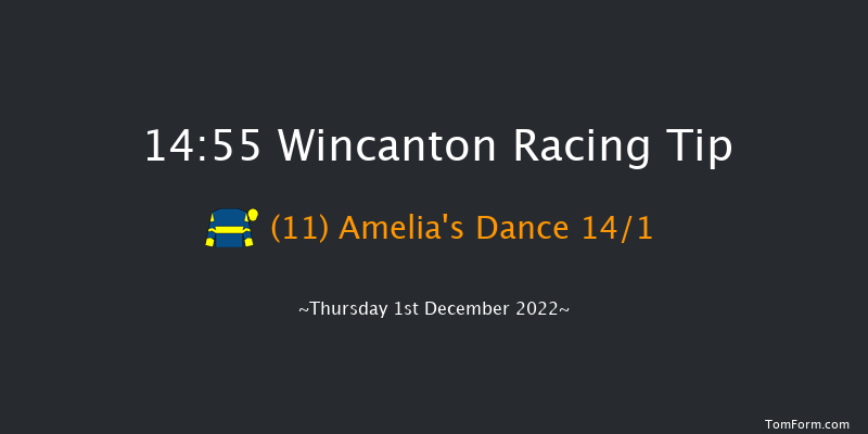 Wincanton 14:55 Handicap Hurdle (Class 3) 15f Thu 17th Nov 2022
