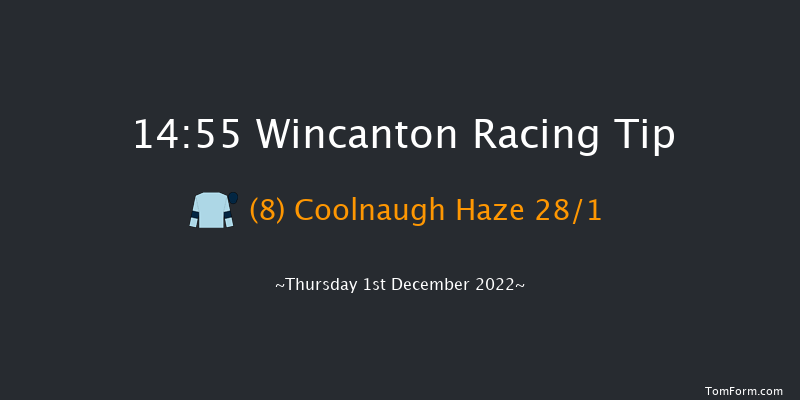 Wincanton 14:55 Handicap Hurdle (Class 3) 15f Thu 17th Nov 2022