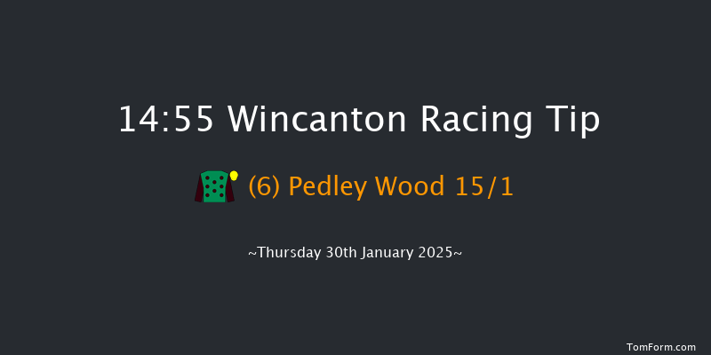 Wincanton  14:55 Handicap Chase (Class 3) 25f Thu 16th Jan 2025