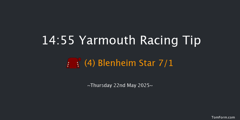 Yarmouth 14-55 (Class 5) 10f Wed 14th May 2025