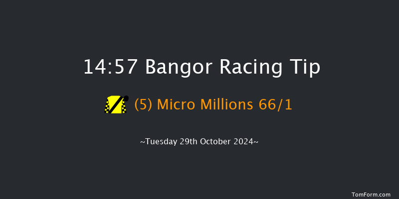 Bangor-on-dee  14:57 Handicap Chase (Class 4) 20f  Fri 6th Sep 2024