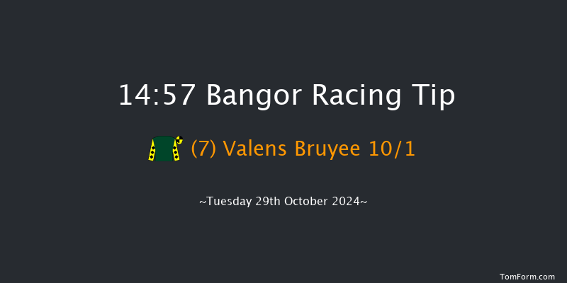 Bangor-on-dee  14:57 Handicap Chase (Class 4) 20f  Fri 6th Sep 2024