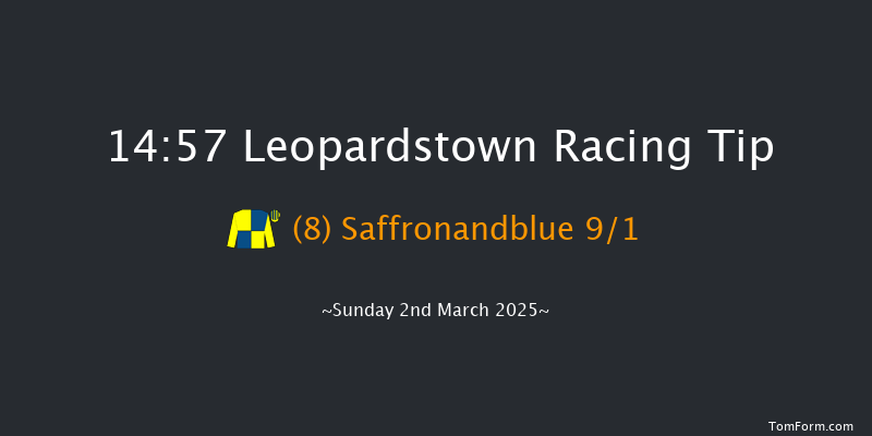 Leopardstown  14:57 Handicap Hurdle 16f Sun 2nd Feb 2025