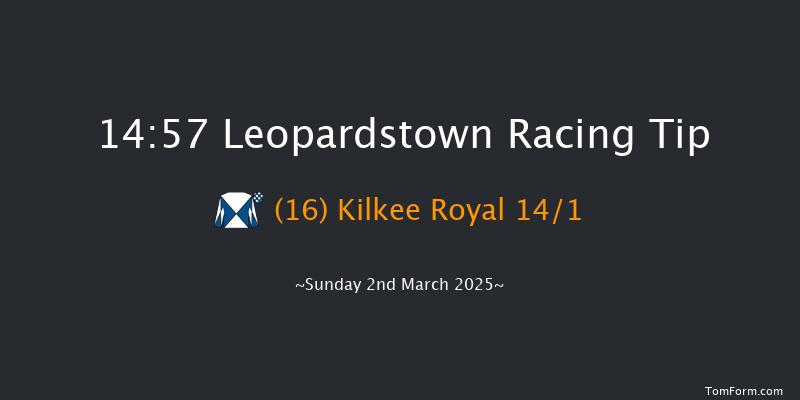 Leopardstown  14:57 Handicap Hurdle 16f Sun 2nd Feb 2025
