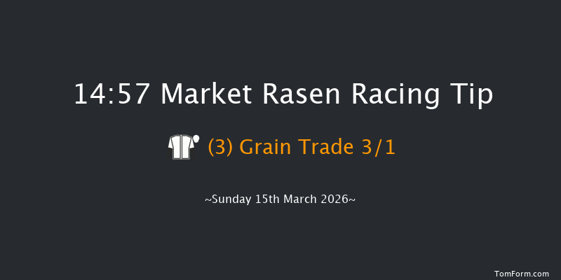 Market Rasen 14-57 (Class 5) 17f Tue 3rd Mar 2026