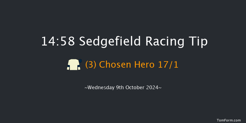 Sedgefield  14:58 Handicap Hurdle (Class 4) 20f  Tue 1st Oct 2024