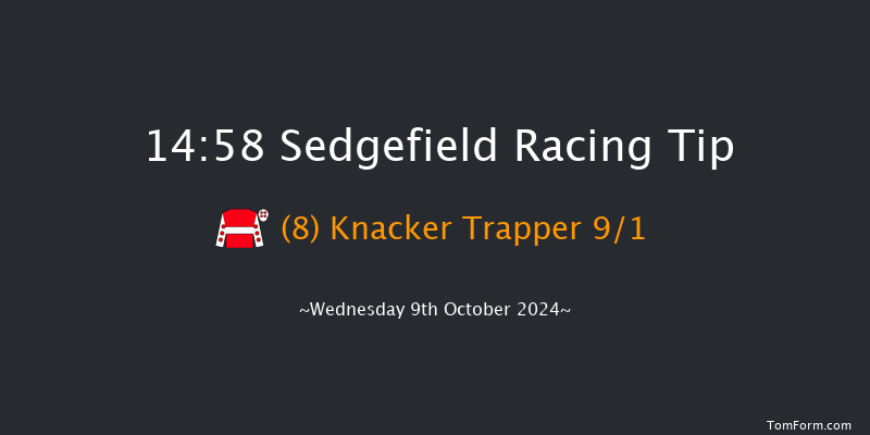 Sedgefield  14:58 Handicap Hurdle (Class 4) 20f  Tue 1st Oct 2024