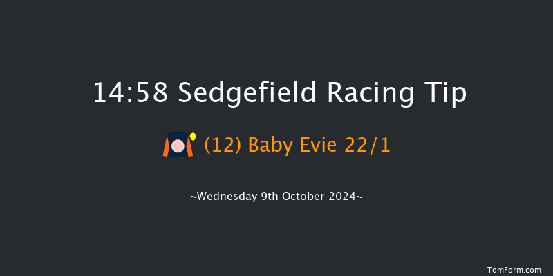 Sedgefield  14:58 Handicap Hurdle (Class 4) 20f  Tue 1st Oct 2024