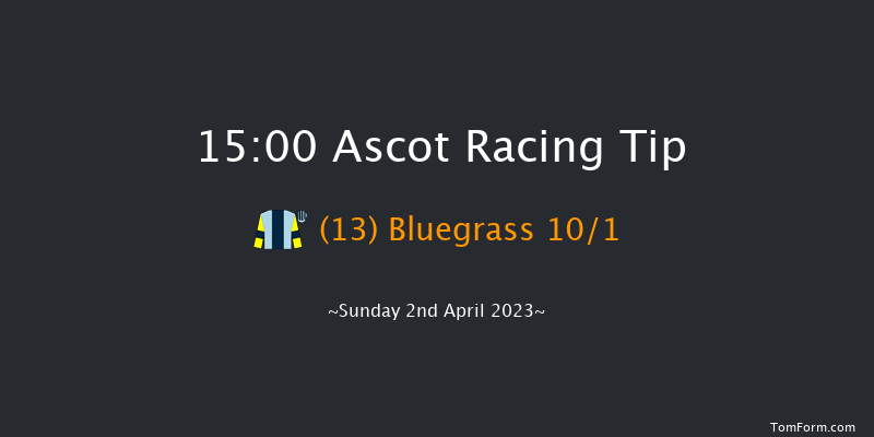 Ascot 15:00 Handicap Hurdle (Class 2) 16f Sat 18th Feb 2023