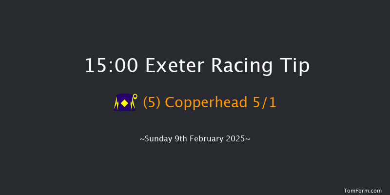 Exeter  15:00 Handicap Chase (Class 2) 24f Mon 13th Jan 2025