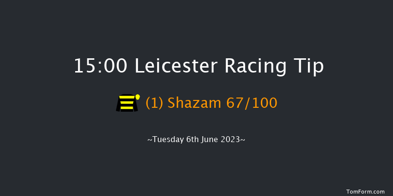 Leicester 15:00 Handicap (Class 6) 10f Tue 30th May 2023