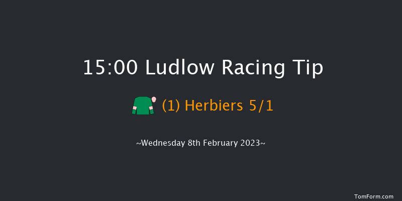 Ludlow 15:00 Handicap Chase (Class 3) 20f Fri 6th Jan 2023