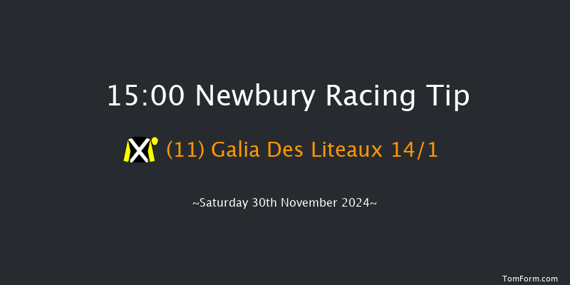 Newbury  15:00 Handicap Chase (Class 1) 26f Fri 29th Nov 2024