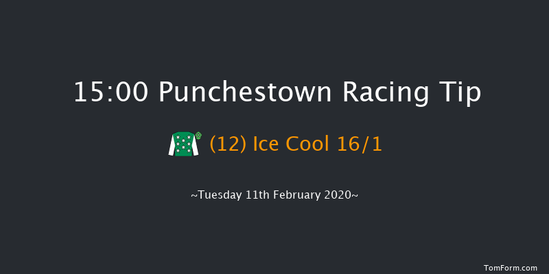 David Trundley Artist At Punchestown Handicap Hurdle (80-109) Punchestown 15:00 Handicap Hurdle 24f Wed 15th Jan 2020