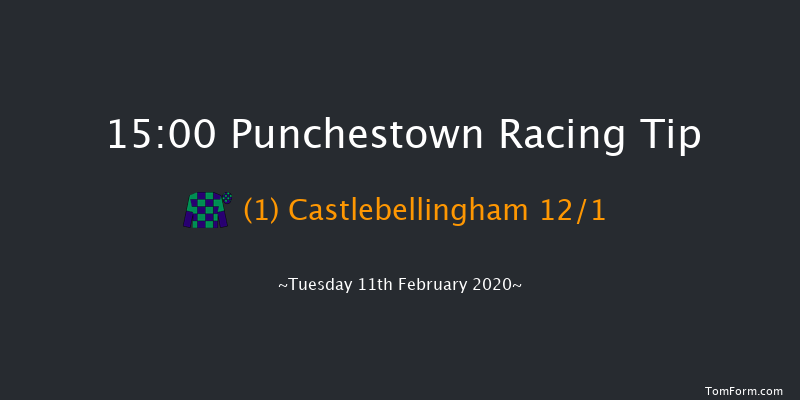 David Trundley Artist At Punchestown Handicap Hurdle (80-109) Punchestown 15:00 Handicap Hurdle 24f Wed 15th Jan 2020