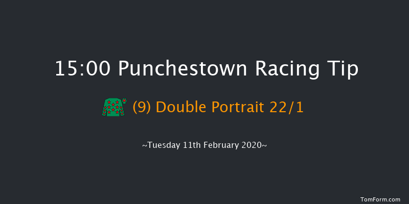 David Trundley Artist At Punchestown Handicap Hurdle (80-109) Punchestown 15:00 Handicap Hurdle 24f Wed 15th Jan 2020