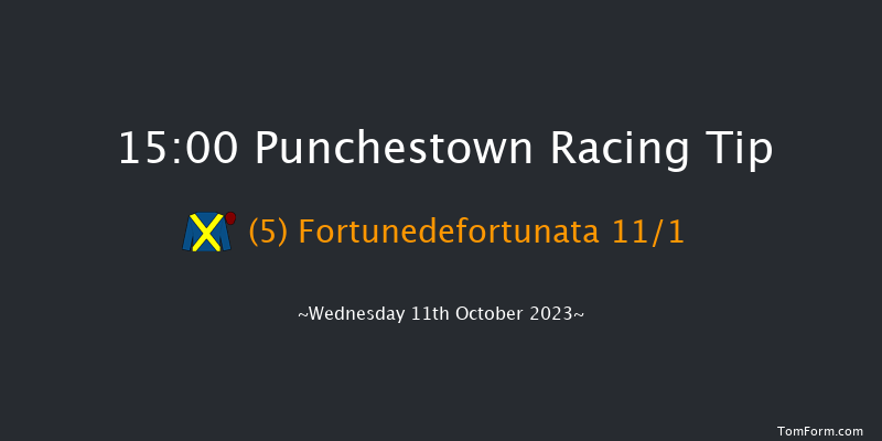 Punchestown 15:00 Handicap Hurdle 20f Tue 10th Oct 2023