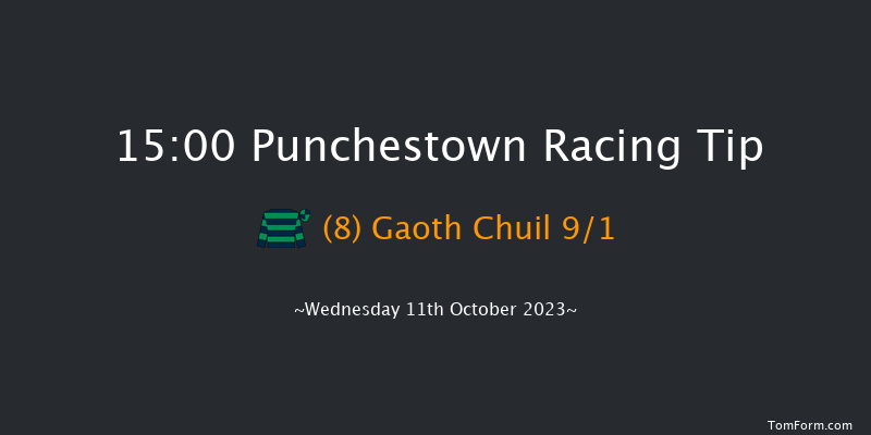 Punchestown 15:00 Handicap Hurdle 20f Tue 10th Oct 2023
