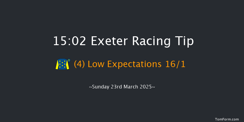 Exeter  15:02 Handicap Hurdle (Class 5) 23f Tue 18th Mar 2025