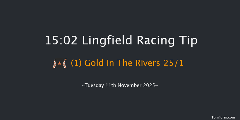 Lingfield 15-02 (Class 4) 20f Tue 4th Nov 2025