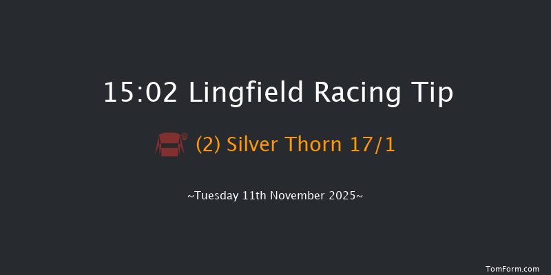 Lingfield 15-02 (Class 4) 20f Tue 4th Nov 2025