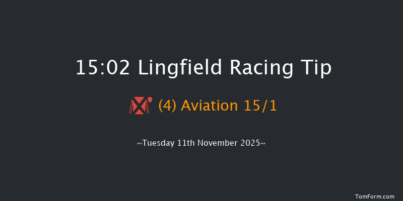 Lingfield 15-02 (Class 4) 20f Tue 4th Nov 2025