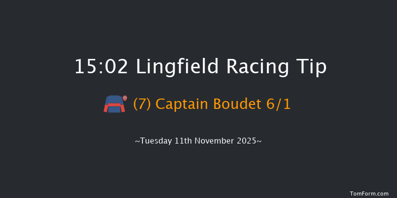 Lingfield 15-02 (Class 4) 20f Tue 4th Nov 2025
