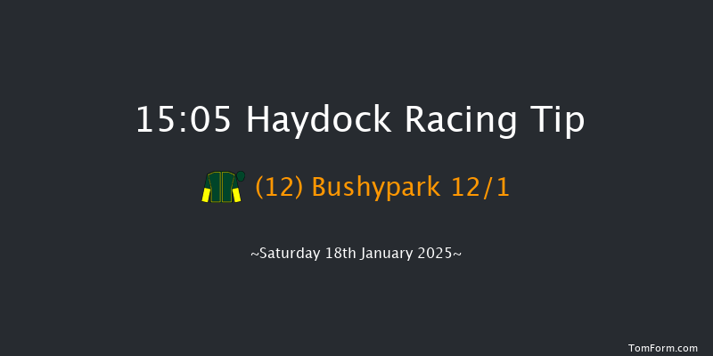 Haydock  15:05 Handicap Hurdle (Class 3) 24f Mon 30th Dec 2024
