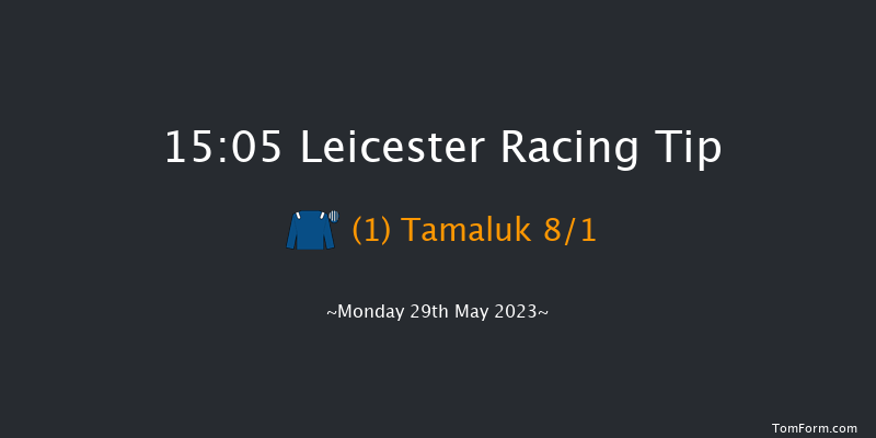 Leicester 15:05 Handicap (Class 5) 8f Sat 13th May 2023
