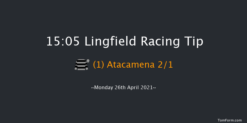 Free Tips Daily On attheraces.com Fillies' Novice Median Auction Stakes Lingfield 15:05 Stakes (Class 6) 12f Wed 21st Apr 2021