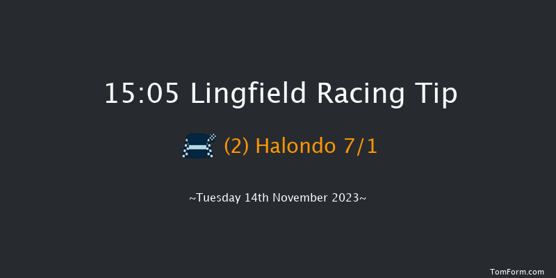 Lingfield 15:05 Handicap Hurdle (Class 3) 23f Tue 7th Nov 2023