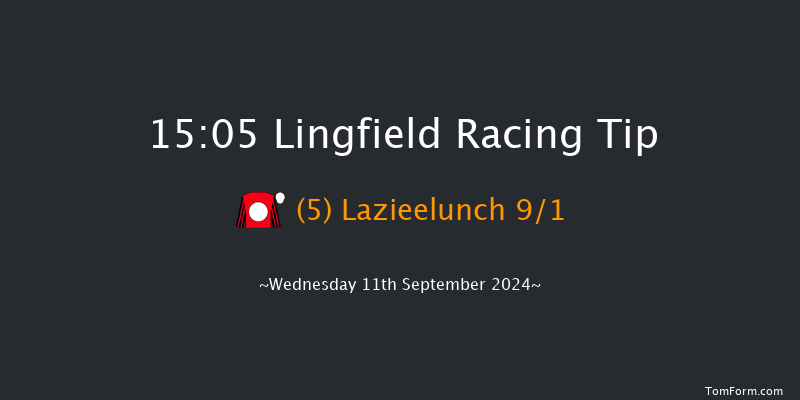 Lingfield  15:05 Handicap (Class 5) 8f Tue 10th Sep 2024
