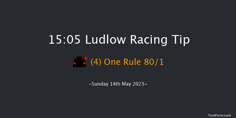 Ludlow 15:05 Maiden Hurdle (Class 4) 21f Tue 9th May 2023