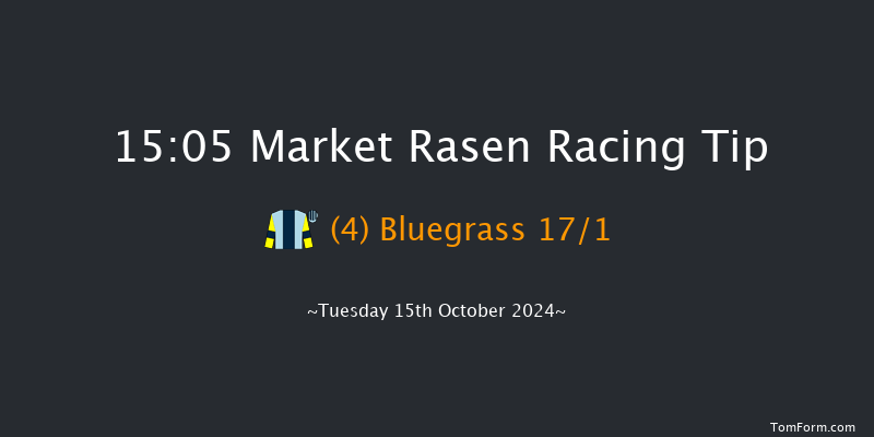 Market Rasen  15:05 Handicap Hurdle (Class 4) 17f Sat 28th Sep 2024