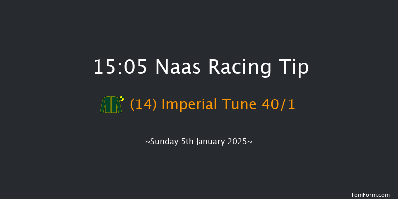 Naas  15:05 Handicap Hurdle 19f Mon 16th Dec 2024