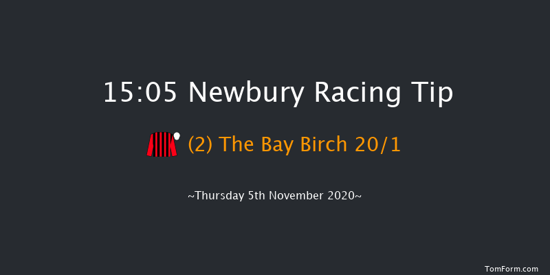 Indzine Handicap Chase Newbury 15:05 Handicap Chase (Class 3) 20f Sat 24th Oct 2020