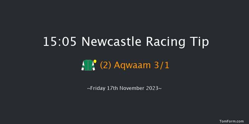 Newcastle 15:05 Handicap (Class 4) 16f Wed 15th Nov 2023