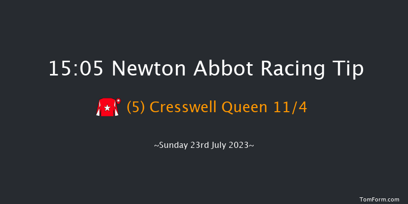 Newton Abbot 15:05 Handicap Chase (Class 4) 26f Mon 17th Jul 2023