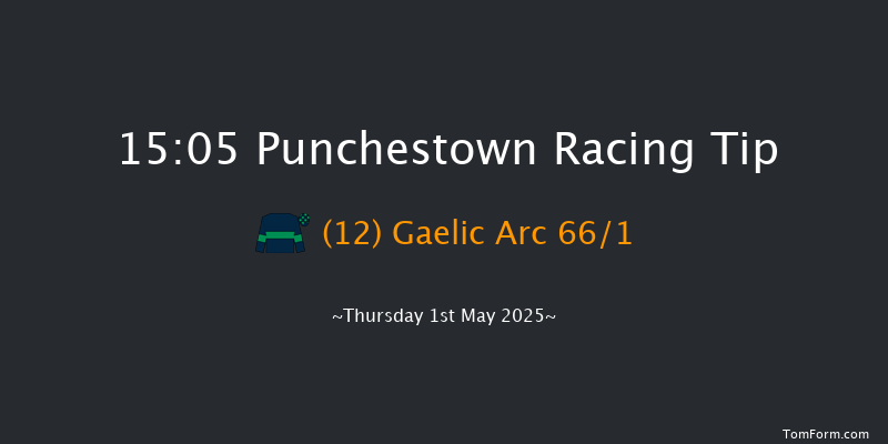 Punchestown 15-05 (Class 1) 16f Wed 30th Apr 2025