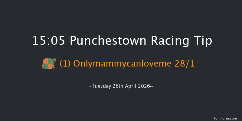 Punchestown 15-05 19f Wed 18th Feb 2026