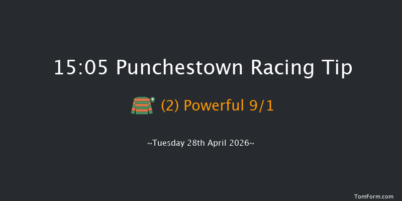 Punchestown 15-05 19f Wed 18th Feb 2026