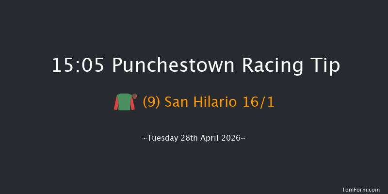 Punchestown 15-05 19f Wed 18th Feb 2026
