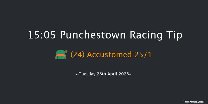 Punchestown 15-05 19f Wed 18th Feb 2026