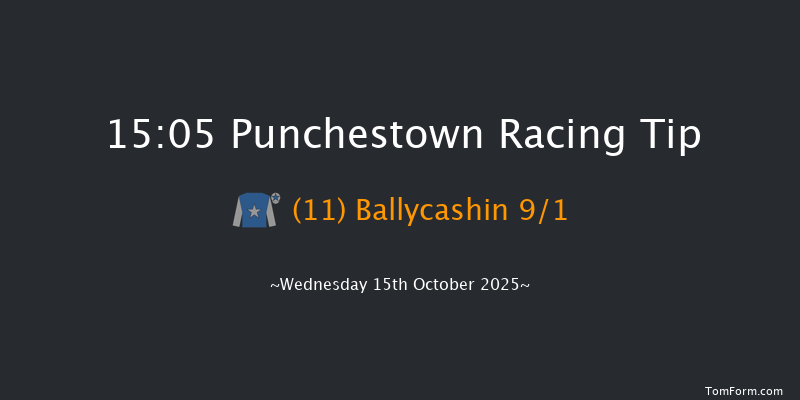 Punchestown 15-05 20f Tue 14th Oct 2025
