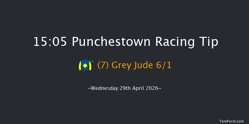 Punchestown 15-05 19f Tue 28th Apr 2026