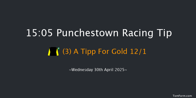 Punchestown 15-05 19f Tue 29th Apr 2025