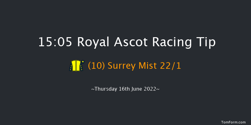 Royal Ascot 15:05 Handicap (Class 2) 12f Wed 15th Jun 2022