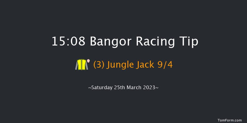 Bangor 15:08 Handicap Hurdle (Class 2) 20f Fri 10th Feb 2023