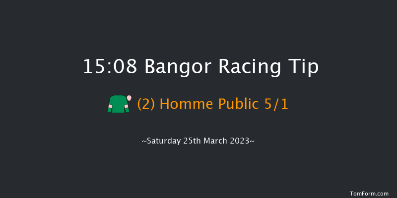 Bangor 15:08 Handicap Hurdle (Class 2) 20f Fri 10th Feb 2023