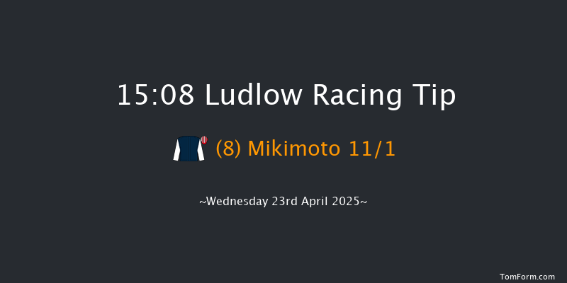 Ludlow 15-08 (Class 4) 23f Wed 2nd Apr 2025
